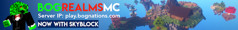 banner for BogRealmsMC Skyblock server