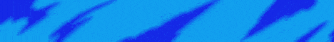 banner for Anarchy Network server