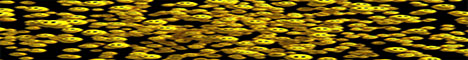 banner for Smile server