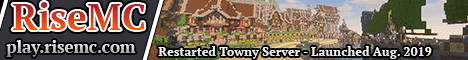 banner for RiseMC server