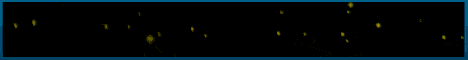 banner for MCAIM server
