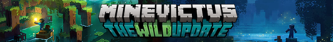 banner for Minevictus server