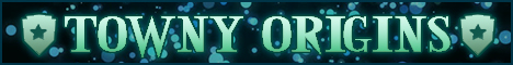 banner for Towny Reforged server