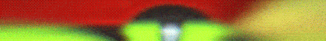 banner for AusPixelmon server