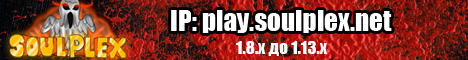 banner for SoulPlex.NET server