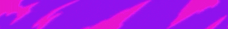 banner for Polz SMP server