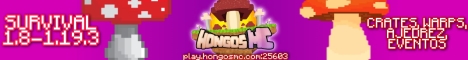 banner for HongosMC server