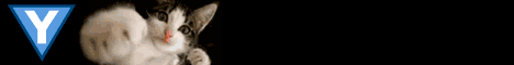 banner for YottaCraft server