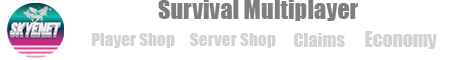 banner for SKYEnet.live server