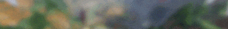 banner for ReallyCraft server