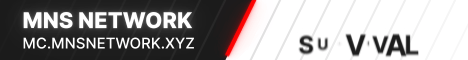 banner for MNS Minecraft Network server