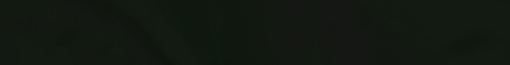 banner for Pinchcliffe SMP server