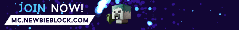 banner for newbieblock server