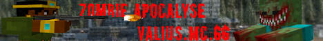 banner for Valius server