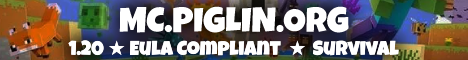 banner for Piglin server