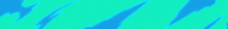 banner for SkyVillage server