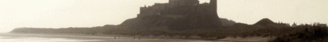 banner for Real Survival server