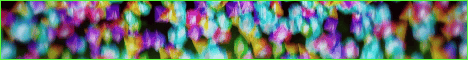 banner for Evergrovesmp server