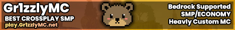 banner for Gr1zzlyMC server
