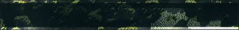 banner for SimplyVanilla server