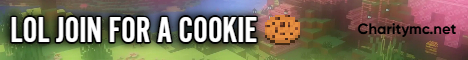 banner for CharityMC server