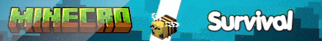 banner for MineCro server