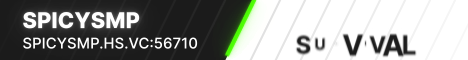 banner for SpicySmp server
