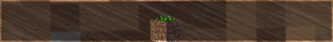 banner for DirtMC server