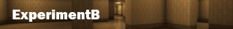 banner for Experiment B server
