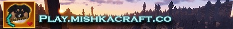 banner for MishkaCraft server