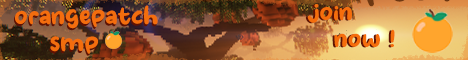 banner for OrangePatch server