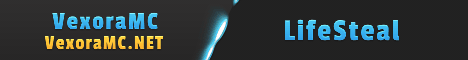 banner for VexoraMC server