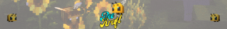 banner for BeeKraft server