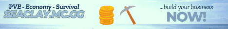 banner for Seaclay server