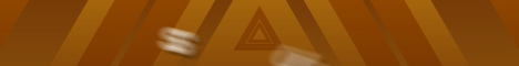 banner for QSMP server