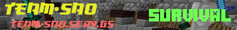 banner for Team_SAO server