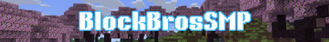 banner for BlockBrosSMP server