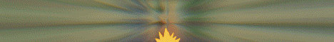 banner for PokeWild server