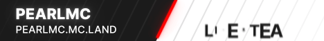 banner for PearlMc server