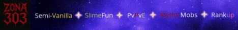 banner for ZONA303 server