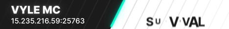 banner for Vyle MC server