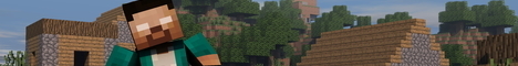 banner for Fox Factory server