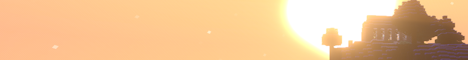 banner for RaidBox server