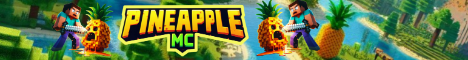 banner for PineAppleMC server