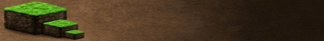 banner for Last Age Towny server