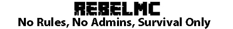 banner for RebelMC server