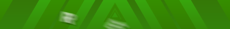 banner for RevivalMC server