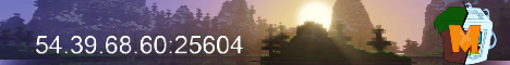 banner for Media server