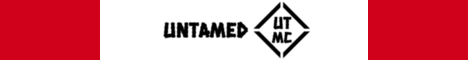 banner for UntamedMC server