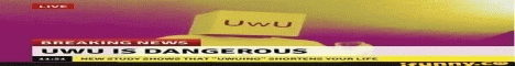 banner for UwUMc server